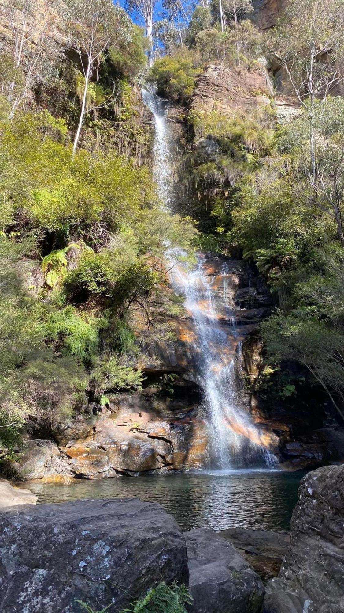 Blissful Mountain Stay Katoomba Ngoại thất bức ảnh